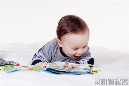 新生儿万姓爆款男宝宝名字2024